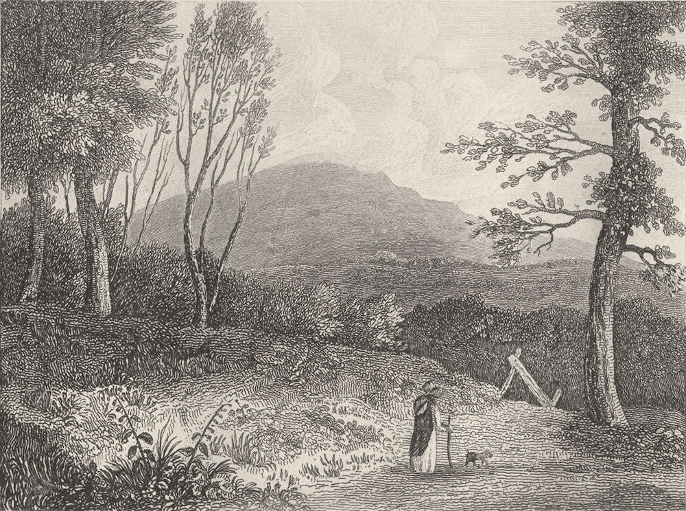 DEVON. Bren-tor, Devon. DUGDALE 1845 old antique vintage print picture